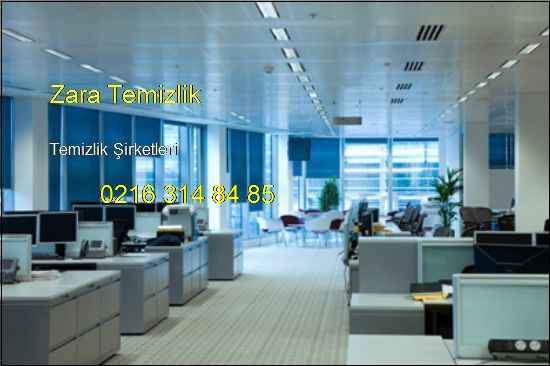  Evlere Temizlik Şirketi 0216 314 84 85  Temizlik Şirketleri