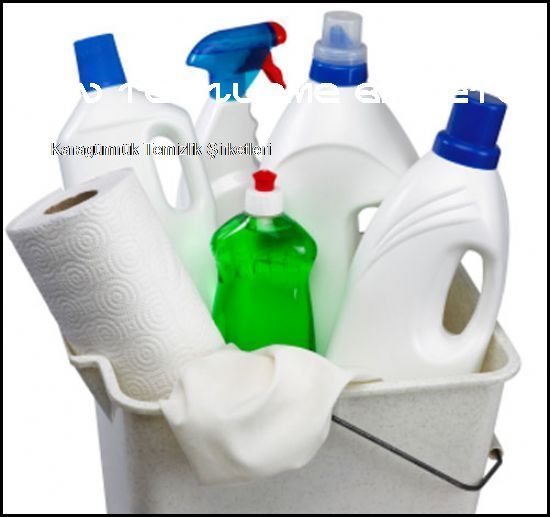 Karagümrük Temizlik Şirketleri Yeniz Siteniz Açıldı  Ev Temizleme Şirketleri Karagümrük Temizlik Şirketleri