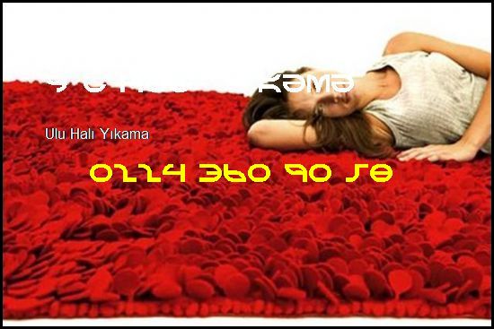  Ulu Halı Yıkama 0224 360 90 58 Gül Halı Yıkama Ulu Halı Yıkama