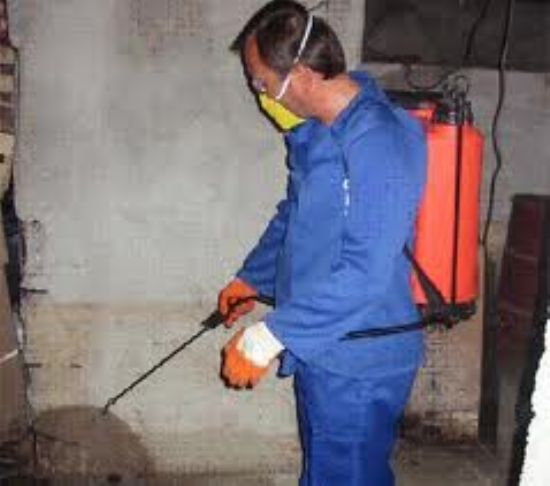  Polonezköy Haşere Temizlik Şirketleri 0216 414 54 27 Ayışığı Temizlik Şirketi İstanbul Temizlik Şirketleri