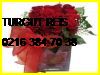 Turgut Reis Çiçek Siparişi 0216 384 70 38 Star Uluslararası Çiçekçilik Turgut Reis Çiçekçi