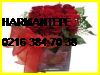  Harmantepe Çiçek Siparişi 0216 384 70 38 Star Uluslararası Çiçekçilik Harmantepe Çiçekçi