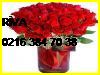  Riva Çiçek Siparişi 0216 384 70 38 Star Uluslararası Çiçekçilik Riva Çiçekçi
