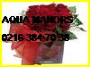  Aqua Manors Çiçek Siparişi 0216 384 70 38 Star Uluslararası Çiçekçilik Aqua Manors Çiçekçi