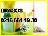 DRAGOS PERYODİK OFİS TEMİZLEME ŞİRKETİ 0216 661 19 30 KUŞLU TEMİZLİK ŞİRKETİ DRAGOS PERİYODİK OFİS TEMİZLİĞİ