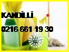 KANDİLLİ PERYODİK MAĞAZA TEMİZLEME ŞİRKETİ 0216 661 19 30 KUŞLU TEMİZLİK ŞİRKETİ KANDİLLİ •PERİYODİK MAĞAZA TEMİZLİĞİ