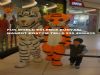  Beyaz Kaplan Ve Aslan ( Tiger ) Maskot Kostüm Fun World Eğlence Dünyası 0 535 4900015