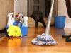  Fatih  Ofis Temizlik Şirketi, Ofislerinizin Temizliğinde Tutku Temizlik Profesyonel Temizliğin Adresi  Fatih